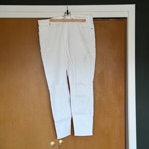 Everlane Curvy High Rise Skinny Jean - size 33